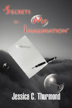 portada secrets in my imagination (en Inglés)