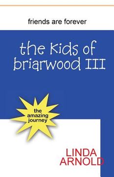 portada The Kids of Briarwood III: The Amazing Journey (en Inglés)