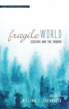 portada Fragile World (Studies in World Catholicism) (en Inglés)