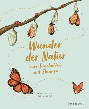 portada Wunder der Natur zum Innehalten und Staunen: 50 Kleine Geschichten Ã¼Ber Alltã¤Gliche Naturereignisse (in German)
