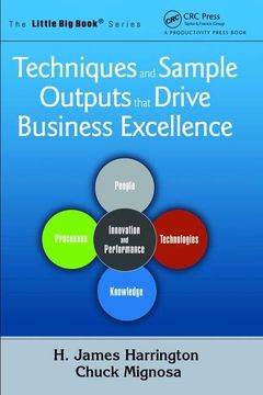 portada Techniques and Sample Outputs That Drive Business Excellence (en Inglés)