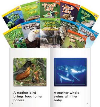 portada Animals and Insects, Grades 1-2