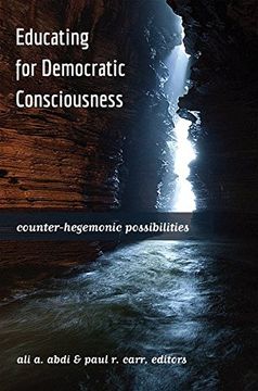 portada educating for democratic consciousness: counter-hegemonic possibilities (in English)