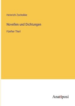 portada Novellen und Dichtungen: Fünfter Theil (en Alemán)