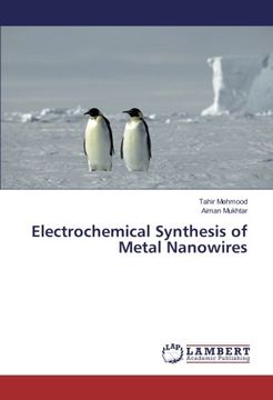 portada Electrochemical Synthesis of Metal Nanowires