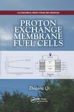 portada Proton Exchange Membrane Fuel Cells