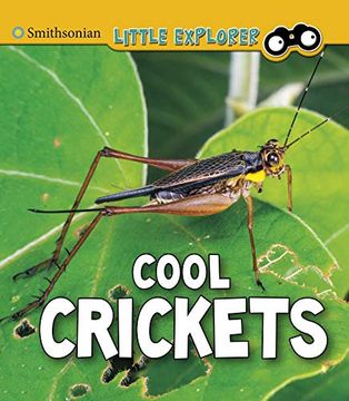 portada Cool Crickets (Insect Explorer) (en Inglés)