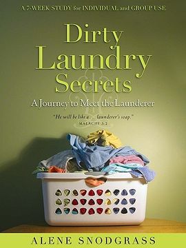 portada dirty laundry secrets (en Inglés)