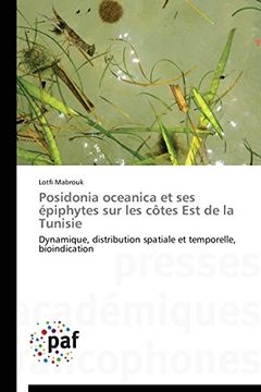 portada Posidonia Oceanica Et Ses Epiphytes Sur Les Cotes Est de La Tunisie
