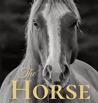 portada The Horse: Coffee Table Book With Quotations About the Magnificent Equines.