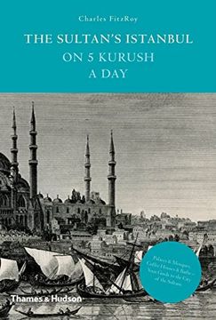 portada The Sultan's Istanbul on 5 Kurush a day 