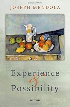 portada Experience and Possibility (en Inglés)