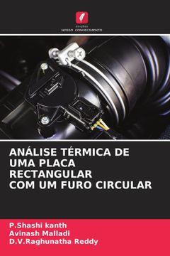 portada Análise Térmica de uma Placa Rectangular com um Furo Circular (in Portuguese)