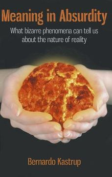 portada Meaning in Absurdity: What Bizarre Phenomena Can Tell Us about the Nature of Reality (en Inglés)