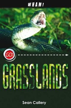 portada Wham Grasslands (Go!)