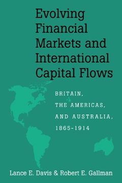 portada Evolving Financial Markets and International Capital Flows Paperback (Japan-Us Center ufj Bank Monographs on International Financial Markets) (en Inglés)