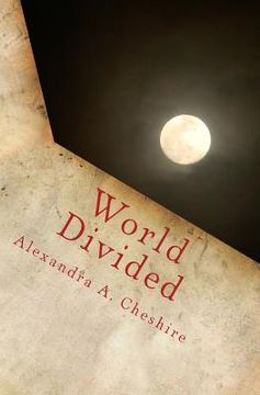 portada World Divided (in English)