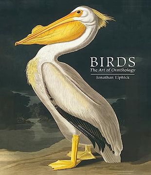 portada Birds: The Art of Ornithology (in English)