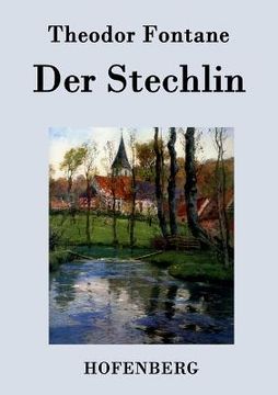 portada Der Stechlin: Roman (in German)