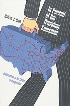 portada In Pursuit of the Traveling Salesman: Mathematics at the Limits of Computation (in English)