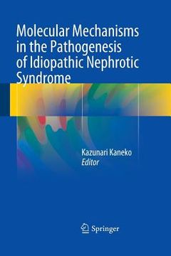 portada Molecular Mechanisms in the Pathogenesis of Idiopathic Nephrotic Syndrome (en Inglés)