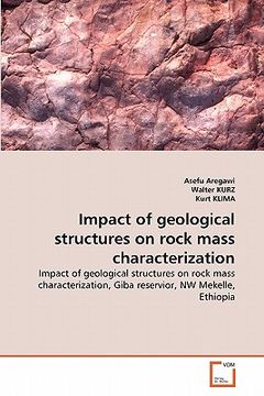 portada impact of geological structures on rock mass characterization (en Inglés)