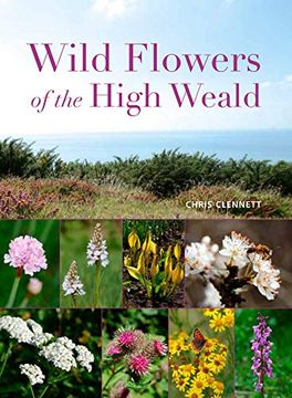 portada Wild Flowers of the High Weald (en Inglés)