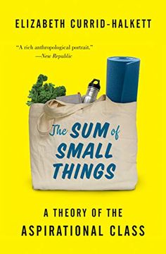 portada The sum of Small Things: A Theory of the Aspirational Class (in English)