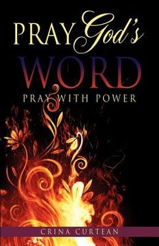 portada pray god's word pray with power (en Inglés)