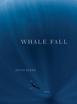 portada Whale Fall: Poems (en Inglés)