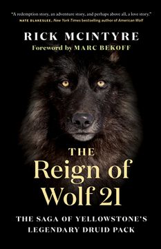 portada The Reign of Wolf 21: The Saga of Yellowstone's Legendary Druid Pack (The Alpha Wolves of Yellowstone) (in English)