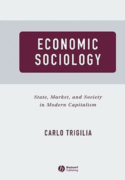 portada economic sociology: state, market, and society in modern capitalism (en Inglés)