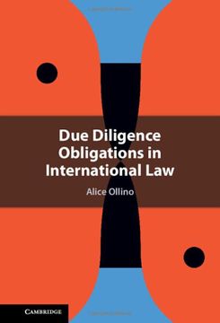portada Due Diligence Obligations in International law (en Inglés)