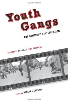 portada Youth Gangs and Community Intervention: Research, Practice, and Evidence (in English)