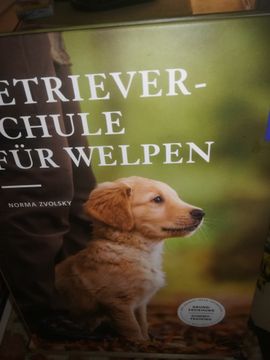 portada Retrieverschule für Welpen, Grunderziehung, Dummy-Training (en Alemán)