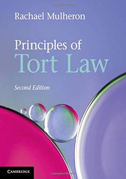 portada Principles of Tort Law (en Inglés)