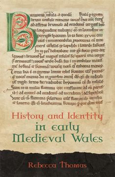 portada History and Identity in Early Medieval Wales (Studies in Celtic History, 44) 
