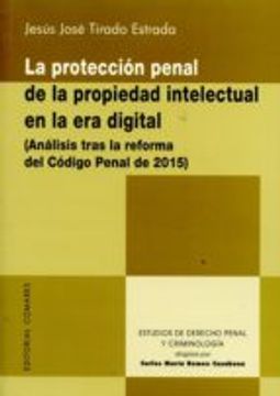 LA PROTECCION PENAL DE LA PROPIEDAD INTELECTUAL EN LA ERA DIGITAL (ANALISI