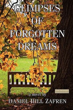 portada glimpses of forgotten dreams (in English)