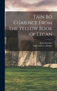 portada Táin Bó Cúailnce from the Yellow Book of Lecan (in Irlanda)
