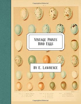portada Vintage Prints: Bird Eggs (en Inglés)