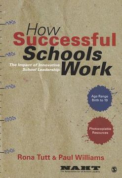 portada How Successful Schools Work (in English)