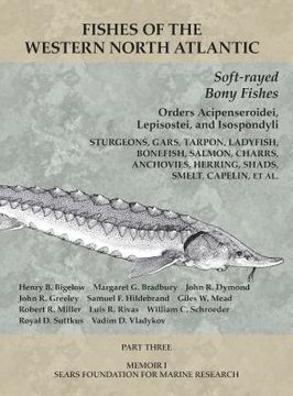 portada Soft-rayed Bony Fishes: Orders Acipenseroidei, Lepisostei, and Isospondyli: Part 3 (en Inglés)