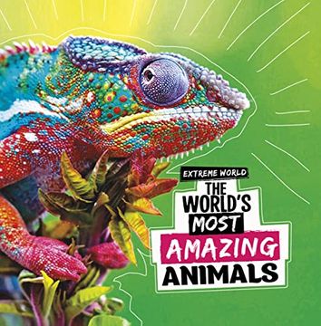 portada World's Most Amazing Animals 