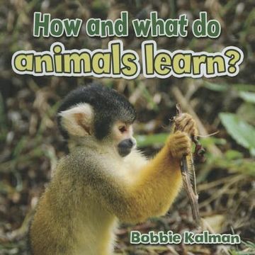 portada How and What do Animals Learn all About Animals Closeup (in English)