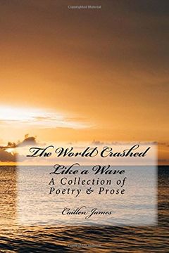 portada The World Crashed like a Wave: A Book of Poetry & Prose