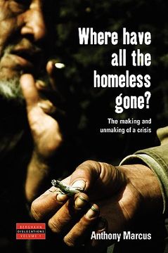 portada where have all the homeless gone?: the making and unmaking of a crisis (in English)