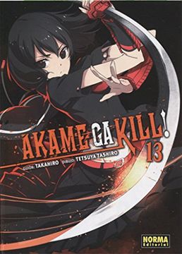 portada Akame ga Kill! 13