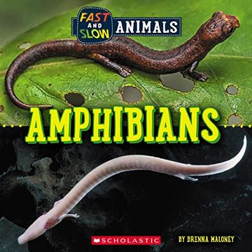 portada Fast and Slow: Amphibians (Wild World) (in English)