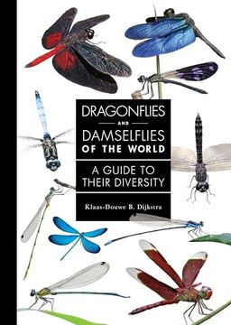 portada Dragonflies and Damselflies of the World: A Guide to Their Diversity (a Guide to Every Family) (en Inglés)